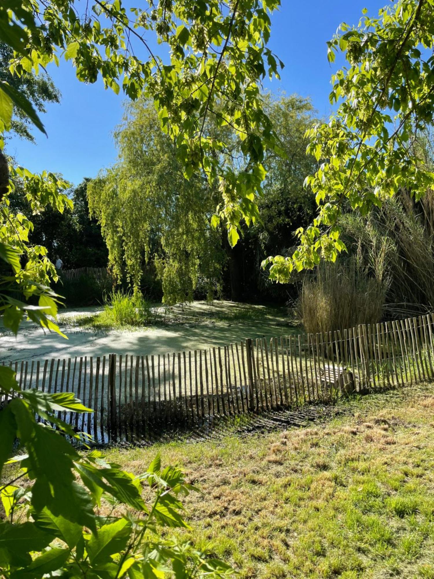 Bed and Breakfast Instant Zen Saint-Vivien-de-Médoc Zewnętrze zdjęcie